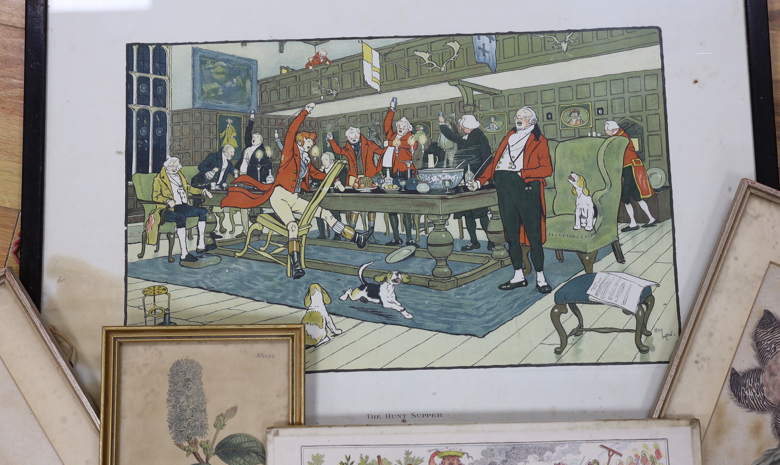 After Cecil Aldin (1870-1935) and James Gilray (1756-1815), two colour prints together with five antique botanical prints, largest 42 x 60cm